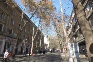 Tree-lined pedestrian boulevard in Burgas