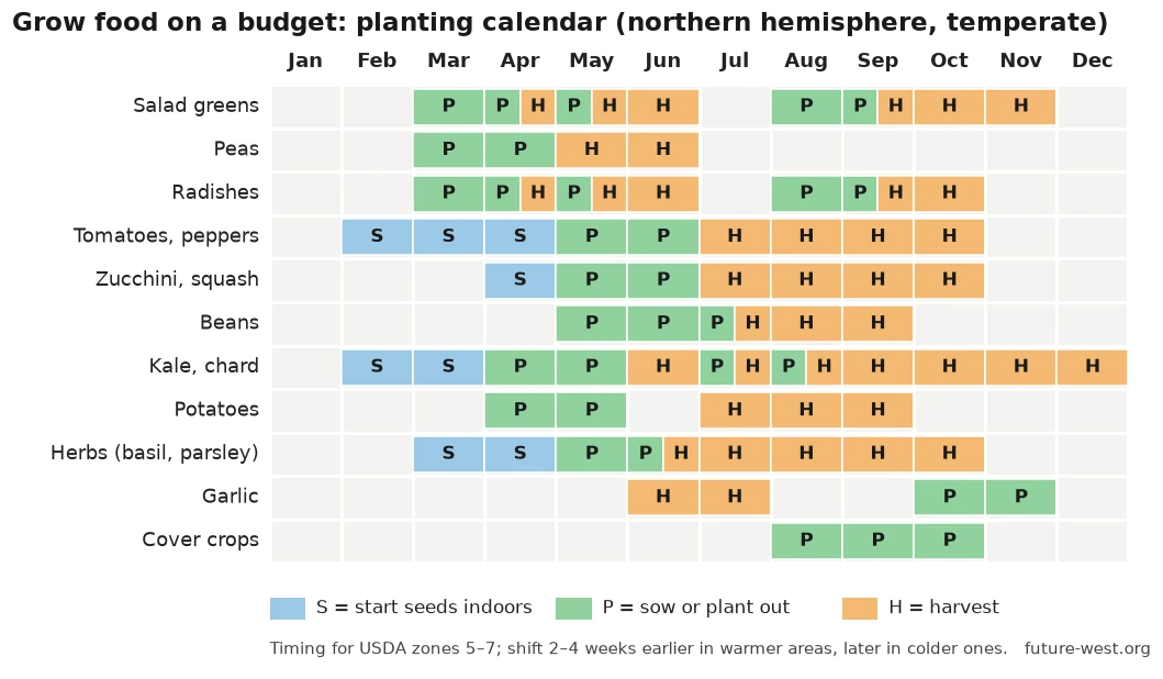 Planting calendar chart: when to start seeds, plant out and harvest 11 vegetable groups from January to December