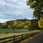 Leave the City: Cheapest States to Buy Land and the Smart Way to Save Cheapest states to buy land: a quiet country road with a wooden fence, pasture and autumn hills