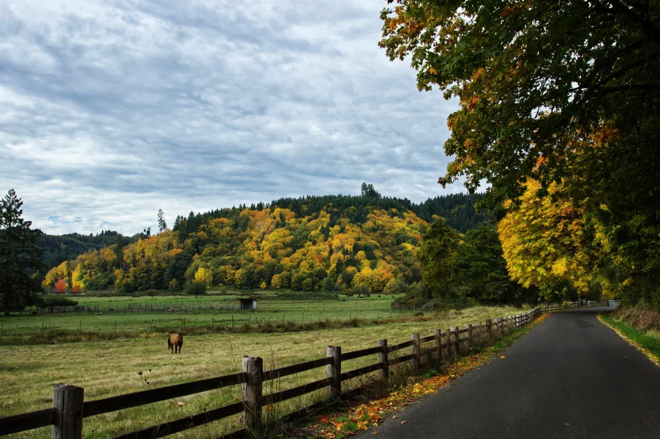 Cheapest states to buy land: a quiet country road with a wooden fence, pasture and autumn hills