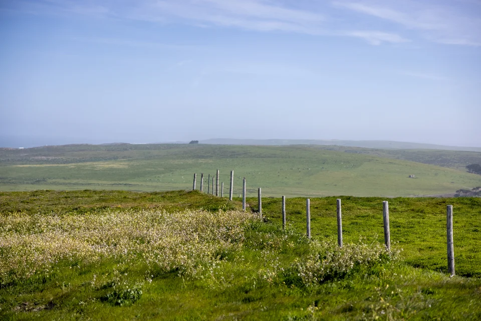 Cheapest states to buy land: open rural pasture with a wire fence line