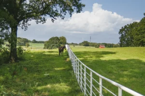 How to check land before buying: fenced pasture and trees on a rural parcel in East Texas