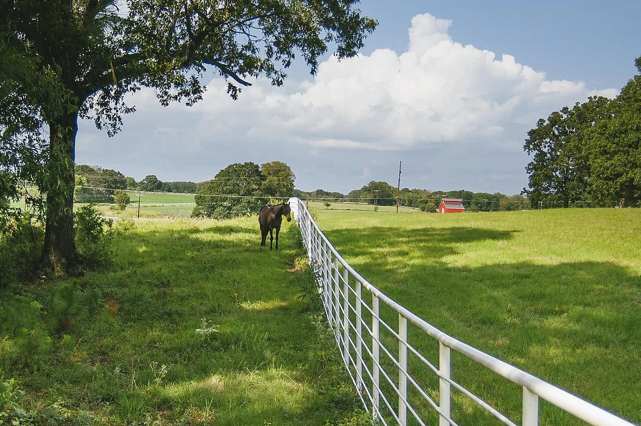 How to check land before buying: fenced pasture and trees on a rural parcel in East Texas